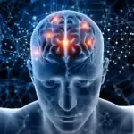 An illustration of neural signalling used in the seller's asset pack